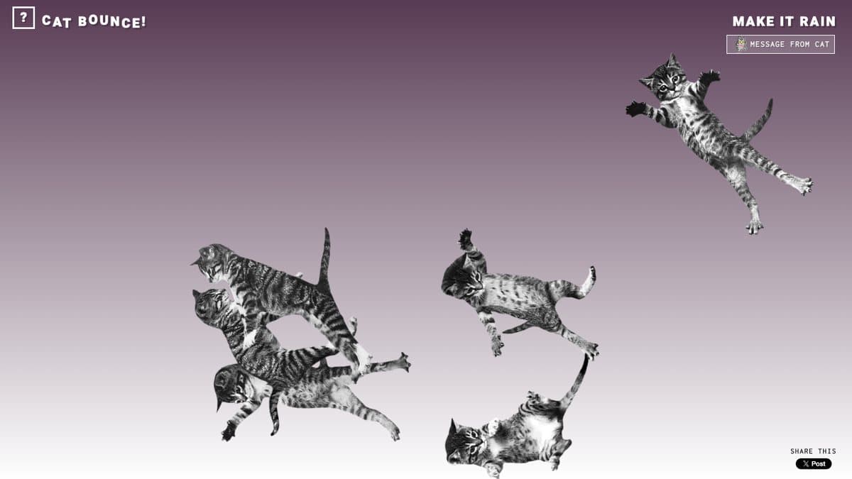 Cat Bounce website