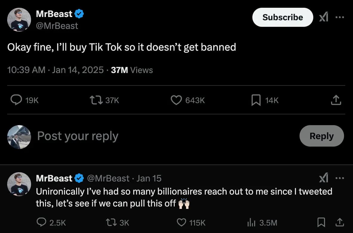 Mr Beast Wants Tiktok