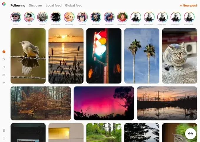 Open-Source Rivals To Meta Apps Seek Funding