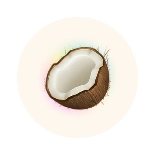 Coconote logo
