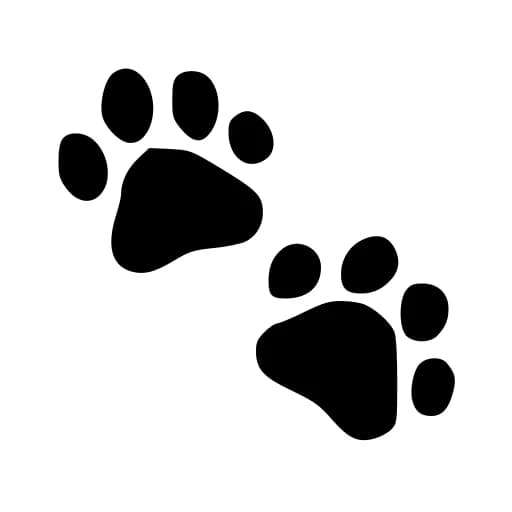 Cat Bounce logo
