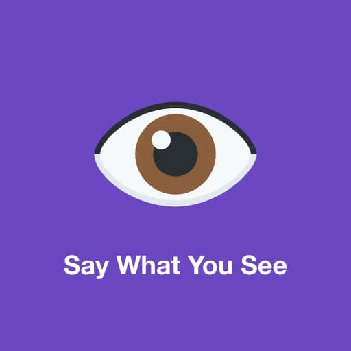 Say What You See logo