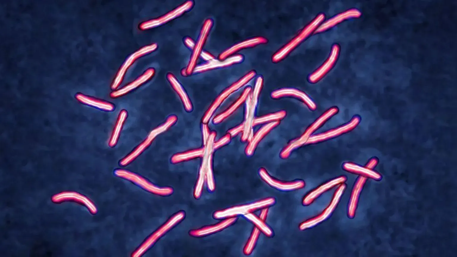 Google AI Solves Superbug Mystery