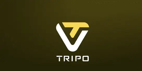 MrTechKing-Tripo3D AI
