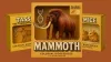 Colossal’s Mammoth Patent Bid, Figma’s Post-Adobe Vision by Dylan Field, Microsoft Copilot's New AI Skills, AI's Creative Disruption, and Yuanfudao's Smart Learning Launch
