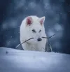 Colossal unveils gene-edited dire wolves, Alibaba develops AI smart glasses, Zipline expands drone deliveries, CMS explores AI health avatars, Apple faces potential iPhone price hikes.